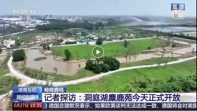 央視報道 | 易大設計EPC項目-湖南東洞庭湖麋鹿和鳥類救助避難中心正式開園